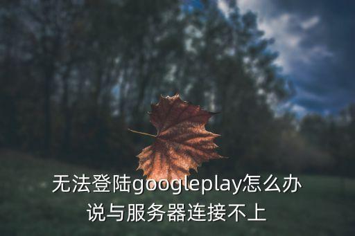 无法登陆googleplay怎么办说与服务器连接不上