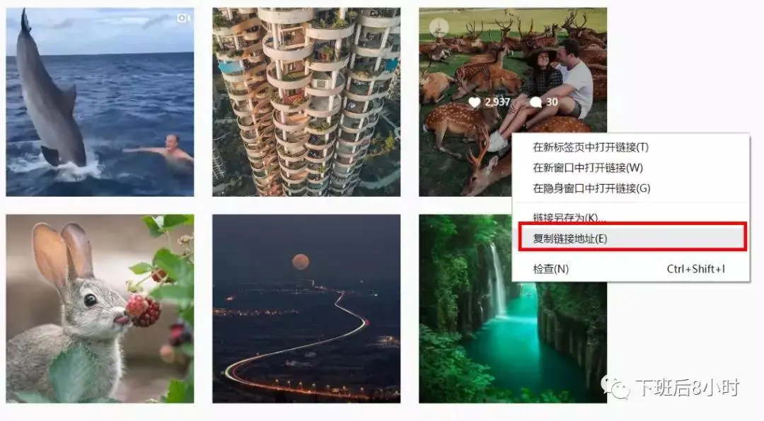 图片下载免费头像_instagram图片下载_图片下载风景高清大图