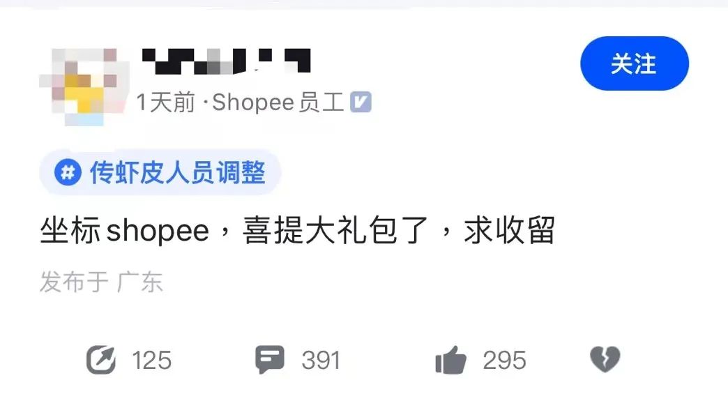 淘宝shopname_shopee 淘宝_淘宝shoei头盔真假