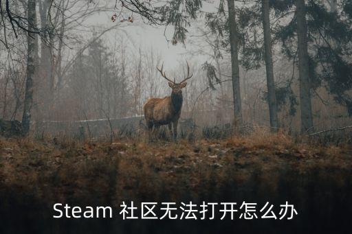 Steam 社区无法打开怎么办