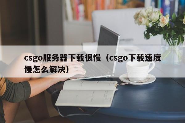 steam下载csgo速度慢_steamcsgo下载很慢_csgo下载太慢