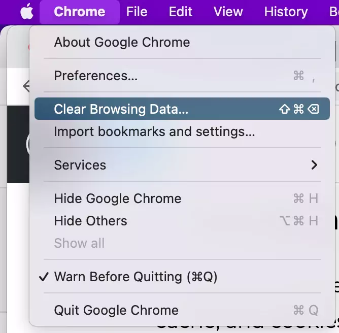 选项-for-clear-browsing-data-on-google-chrome-在 Mac 上